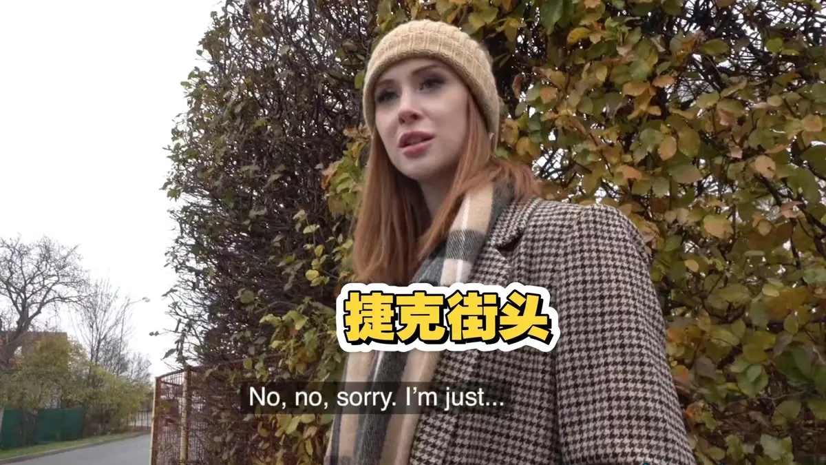 捷克街头钞能力搭讪系列2025电影高清全集资源-无广告完整版在线观看-免费播放入口
