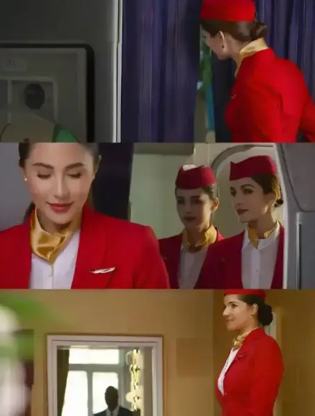法国空姐多塞尔航空HD中字高清在线观看-法国空姐剧情片未删减完整版免费播放-夸克迅雷百度网盘资源下载