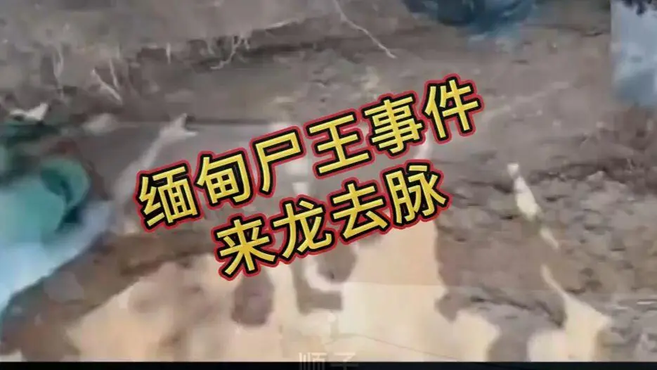 《缅甸僵尸出土事件视频》完整版资源在线观看免费播放 - 诡异真相解密高清下载 - 缅北僵尸出土事件始末原视频超清未删减全程录像
